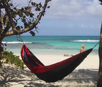 vieques_beach_1.webp